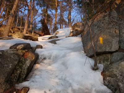 Looking up the cliffs portion of the Eagle Cliff Trail