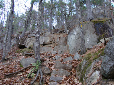 Looking up the cliffs portion of the Eagle Cliff Trail