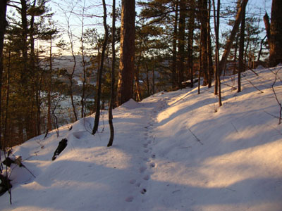 Looking up the Eagle Cliff Trail