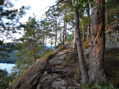 The Eagle Cliff Trail above the cliffs section