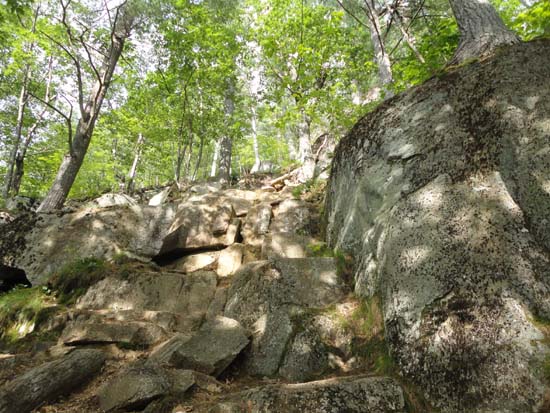The Eagle Cliff Trail cliffs section