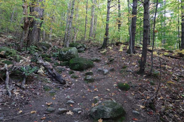 The Eagle Cliff Trail
