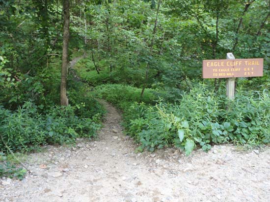The Eagle Cliff Trail trailhead on Squam Lake Road