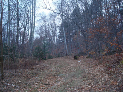 The start of the woods road at the top parking lot