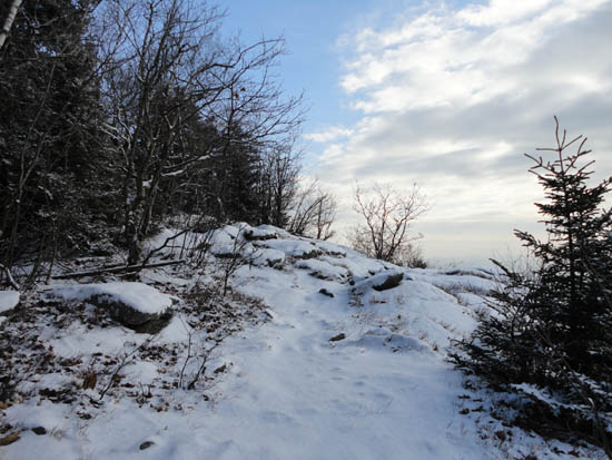 Looking up the Doublehead Trail