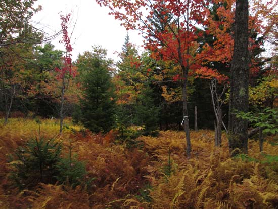 The Quarry Trail on the way to East Quarry