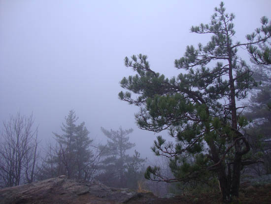 Fog on East Rattlesnake - Click to enlarge