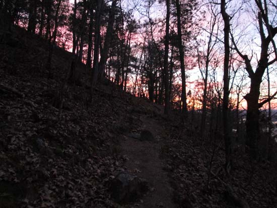 Up on the ridge near the viewpoint