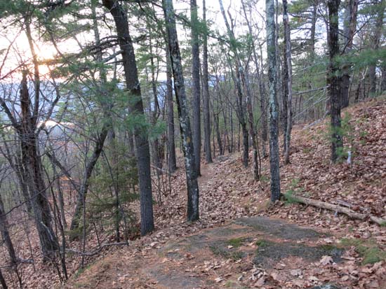 Up on the ridge near the viewpoint