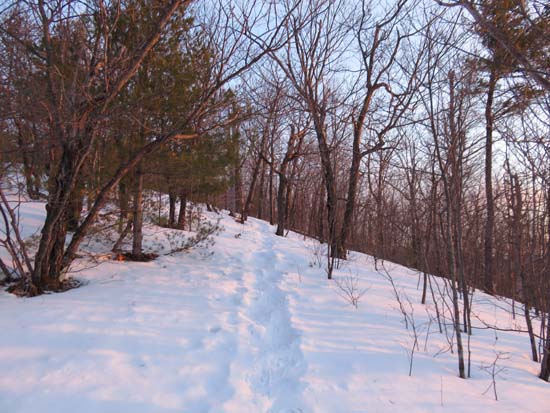 The Ridge Trail