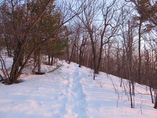 The Ridge Trail