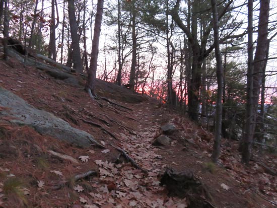 Up on the ridge near the viewpoint
