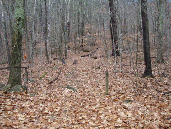 The Butterworth Trail trailhead on Metcalf Road