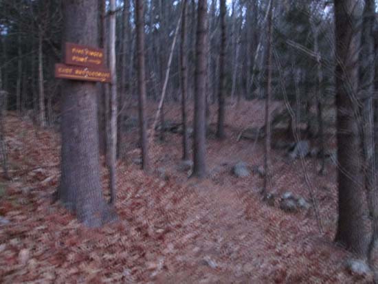 The East Rattlesnake Trail trailhead