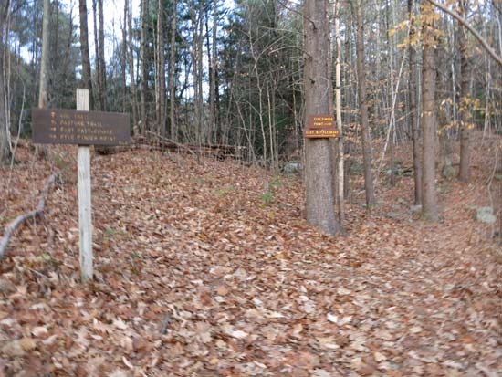 The East Rattlesnake Trail trailhead