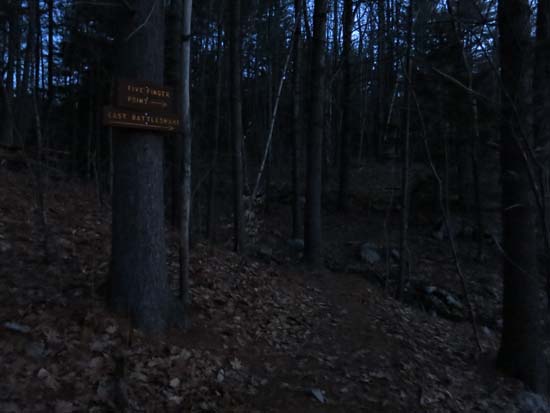The East Rattlesnake Trail trailhead