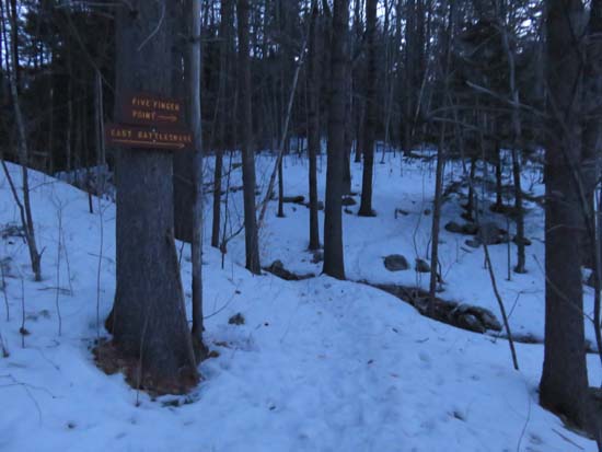 The East Rattlesnake Trail trailhead