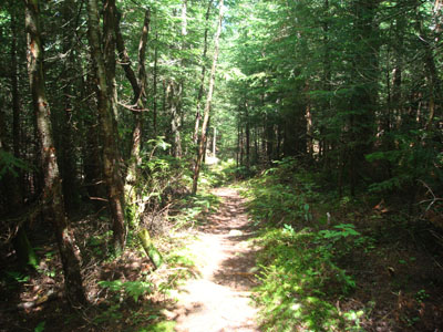 The Kate Sleeper Trail