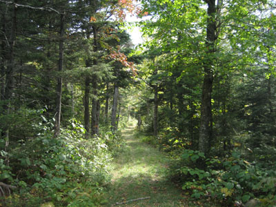 The High Ridge Trail