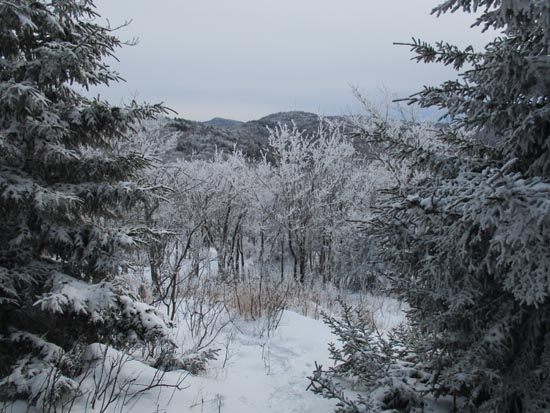Bushwhacking between Black Snout and Faraway Mountain