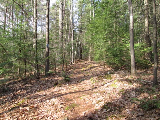 The Robert Leavitt Trail on the way to the north peak
