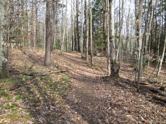 The Aspinwall Ridge Trail on Farnum Hill