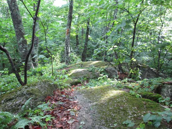 The lower portion of the trail to Fisher Mountain