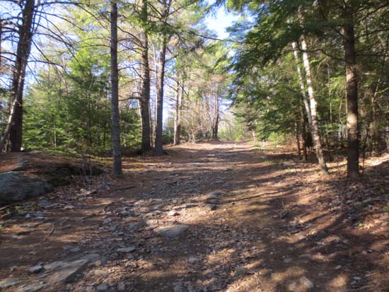 One of the Arrowhead ski trails