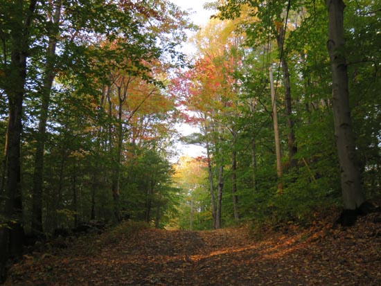 The road to Fort Mountain