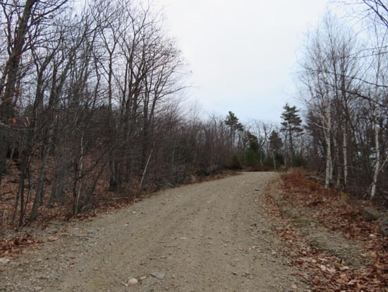 The road to Fort Mountain