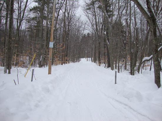 The beginning of the access road to Fort Mountain
