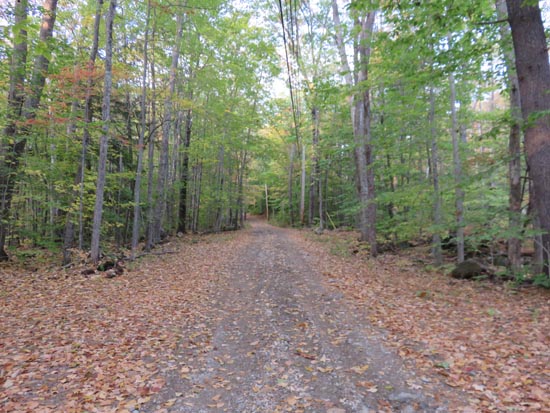 The beginning of the access road to Fort Mountain