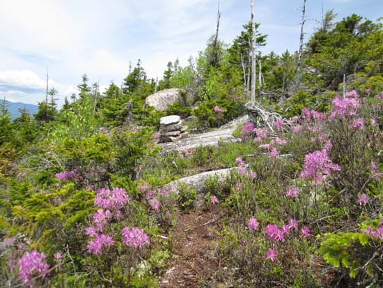 The herd path between Dickey Mountain and Foss Mountain