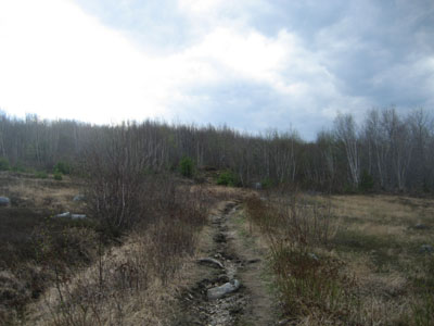 Looking up the Foss Mountain Trail as clouds roll in