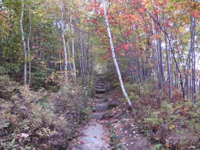 Looking up the Foss Mountain Trail