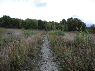 Looking up the Foss Mountain Trail