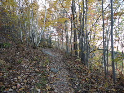 Looking up the Foss Mountain Trail