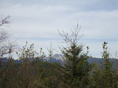 The Presidentials as seen from the grown in top vista on Frankenstein Cliff - Click to enlarge