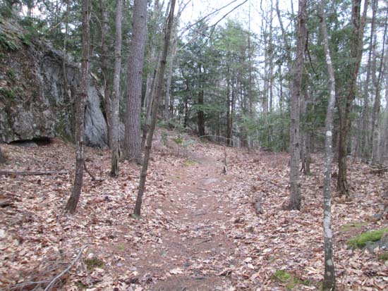 The blue trail to Frenchs Ledge