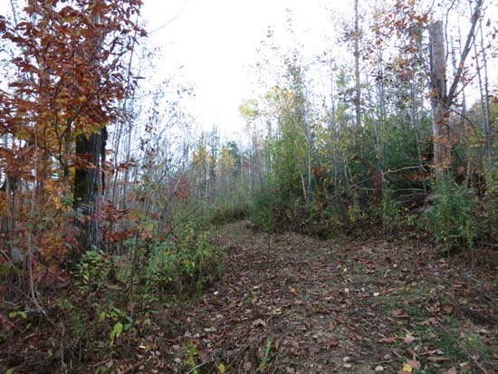 French's Ledges Trail