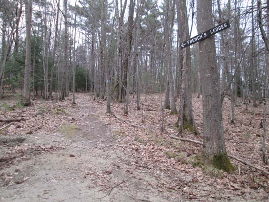 The blue trail trailhead on Columbus Jordan Road