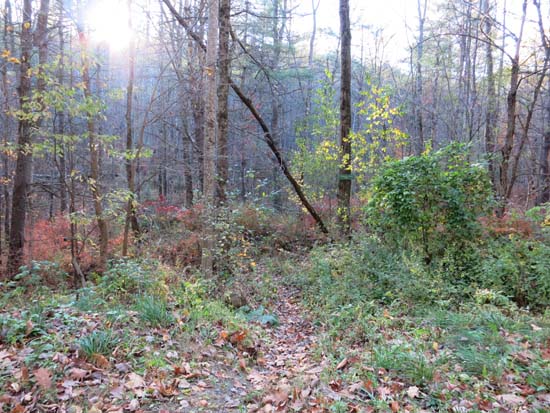 The French's Ledges Trail trailhead on Colby Hill Road
