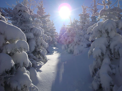 Looking up the Frost Trail near the Galehead Mountain summit