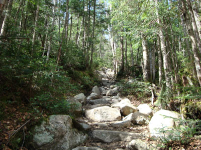 The Gale River Trail
