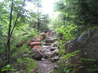 The Gale River Trail