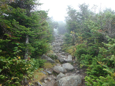 The Twinway between South Twin and Galehead