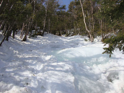 Looking up the Garfield Ridge Trail on the way to Galehead Mountain