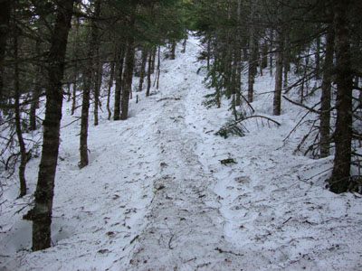 Looking up the Frost Trail to Galehead Mountain