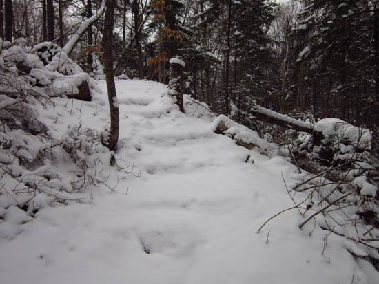 The Gale River Trail reroute
