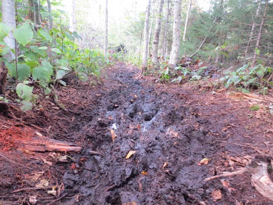 The Gale River Trail mudpit reroute